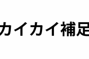 韓国人「カイカイでおもしろいものを発見したｗｗｗｗｗｗｗｗｗｗｗｗ」