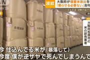 【悲報】米卸売業者「備蓄米放出するのはやめろ！大量に仕込んだ米が売れなくてウチが死ぬだろ！」・・・・・