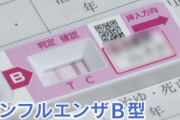 【緊急】『なんか体調悪いけど熱出ないしインフルじゃないかも』とか思ってる奴、それインフルだぞ
