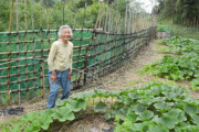【鹿児島】「シカなんかに負けられない」92歳が作った竹柵100メートルが効果てきめん
