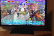 【悲報】実家暮らしの声優志望男性がテレビで放送事故ｗｗｗｗ