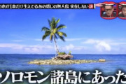 水ダウ「ヤシの木が1本だけ生えてる無人島、ソロモン諸島にあった！」　ソロモン諸島政府「！？」