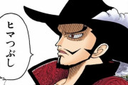 ミホーク←略奪とかしなさそう、民間人襲わなそう、ワンピースに興味なさそう