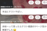 【AKB48】藤園麗ちゃまがお前らに助けを求めているぞ