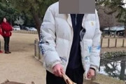 韓国人「奈良の鹿公園で話題になった唐辛子事件、その真相とは？韓国人の反応と続報」　韓国の反応