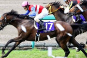 【訃報】ナカヤマフェスタ逝去　衰弱による起立不全で