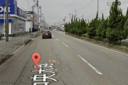 ビッグモーター前の街路樹 次々に枯れるｗｗｗｗｗｗｗｗｗｗｗｗ