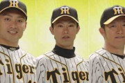 JoshinCMキャラクターに選ばれた阪神選手一覧wwwwxwwwwxwwwwxwwwwxwwww