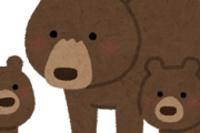 【えぇ…】もし森で熊と出会った時の戦い方ｗｗｗｗｗｗｗｗ