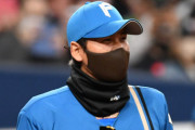 【悲報】日本ハムファイターズさん、無事に最下位を独走