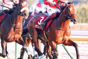 【G1初勝利へ最大のチャンス到来！】東スポ杯2歳S制覇のガストリック　三浦皇成でホープフルSへ