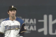 ヤクルトファン、谷内がスタメンで出場していることに驚きを隠せないｗｗｗｗｗｗ