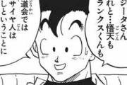ブウ編の孫悟飯「天下一武道会はスーパーサイヤ人禁止で」←これだと18号が優勝しねえか？