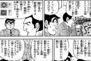 こち亀で両さんが専門家の話に感心してる話って面白いよな