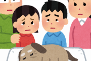 【悲報】ワイ、愛犬が死んでガチで辛い・・・