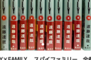 お前ら｢本は電子版で買う！電子書籍最高！神！｣ ワイ｢これを見ても？｣