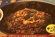 【うまさのコラボ】すき家の新商品「焼きそば牛丼オムカレーMIX」が美味すぎるｗｗｗ