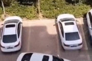 【動画】この駐車動画ワロタ