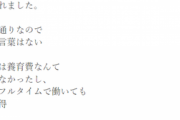 息子に「金がないなら子供産むなよ」と正論を言われた。返す言葉が無くて辛すぎる