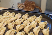 うつ病我が家の餃子パーティー