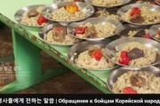 ウクライナ「北朝鮮の兵士さん、投降すれば一日３食、肉もつけるよ」