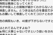 昨日5ちゃんに降臨した自称コロナ感染者、ガチっぽい