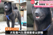 他国の食文化をどうこう言うつもりはないが人が飼ってる犬食べたらあかんよな