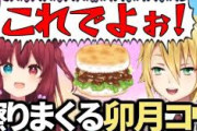 【にじさんじ】夢月ロアのごはんバーガー食レポが好きすぎて「これでよ」を擦りまくる卯月コウまとめ