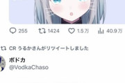 【Vtuber】どいーらがマウント取ってくるってツイート覗いてたら変なの見たわ