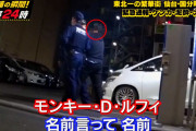 【超画像速報】モンキーDルフィ、ガチのマジで逮捕・・・！！！