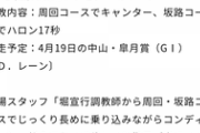 【競馬】サリオス、皐月賞直行　レーン騎手を予定