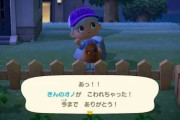海外プレイヤー｢どうぶつの森のシステム不便じゃない？俺ならこう作るけどなぁ｣