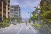 【必殺】手放し自転車スマホ男、特攻してしまう