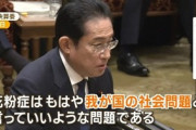 岸田首相､花粉症対策でスギ伐採を加速化 6月までに対策の全体像取りまとめ指示