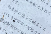 「カエルの鳴き声に悩まされている」苦情ビラが拡散され批判殺到　過去には都内で同様のトラブルで裁判に