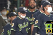 ヤクルトマジック「7」！阪神は26度目完封負け、決勝点は中野と藤浪の失策