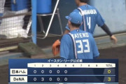 【悲報】日ハム立野、2軍で5回11安打3失点