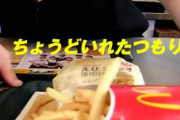 【悲報】マックポテトL食べ納め