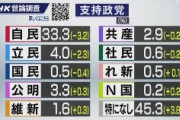 政党支持率 自民33.3% 立憲4.0%