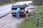 【イヌ】悲しい。道路脇に飼い犬を置き去りにする男の映像。