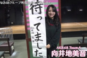 【AKB48】今から2年半前の向井地美音さんがコチラです