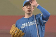 加藤貴之（日）13試合 94.2回 5勝5敗 防御率2.19 WHIP0.96←今年fa