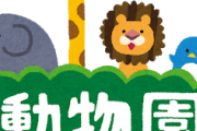 【超絶朗報】動物園で最もテンションが上がる生き物ナンバーワン決定戦ｗｗｗｗｗ