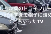 【Z世代襲来】しゃぶ葉でドライフルーツを盗み、駐車場で・・・