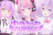 Vtuber Selly氏、評価爆上がり　トワとboraのことをしっかり考えていた模様
