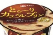 年間50個アイスを食べるアルティメットアイスマニア(極氷菓神)のワイが選んだ2025年ベストアイスがこちら🍨