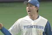 パリーグ投手の5月の月間MVP