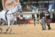【ヘイト】 KRA（韓国馬事会）コリアカップ、コリアスプリントに日本馬招待せず