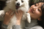 女優・波瑠　愛犬の死を伝える「一人暮らしで初めて迎えた家族で」　天国に呼びかけ「おかーさん元気に頑張ってるよ！」  [3/3]