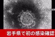【悲報】岩手県ついに陥落　初のコロナ感染者…